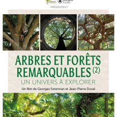affiche_arbre.jpg