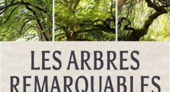 Les Arbres Remarquables, un patrimoine à protéger