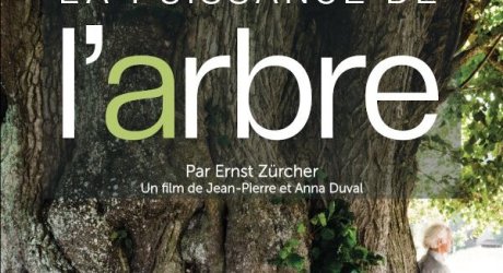 La puissance de l'arbre
