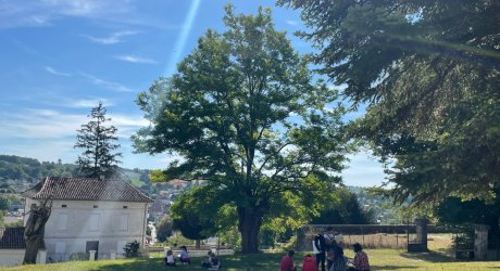 Atelier jeune pousse